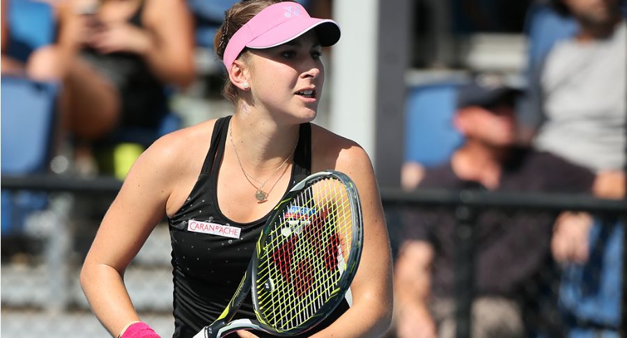 提供了强有 提供了强有